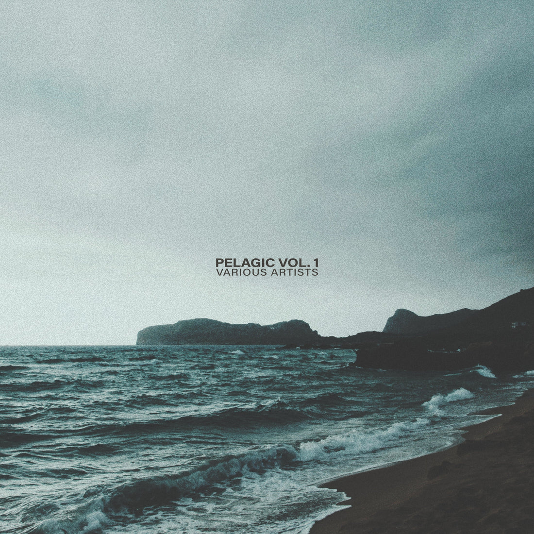 One Year of Ranger Records: The Story Behind Pelagic Vol. 1