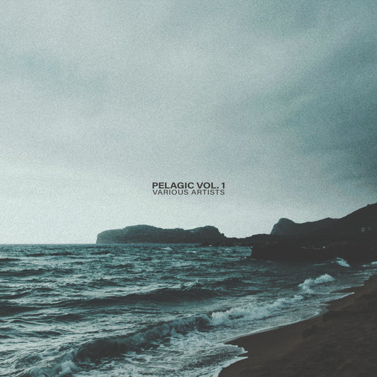 One Year of Ranger Records: The Story Behind Pelagic Vol. 1